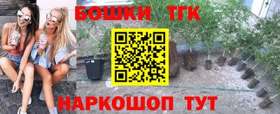 шишки Заводоуковск
