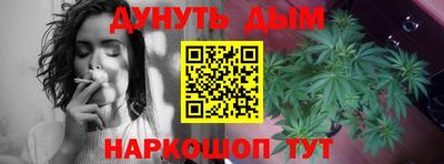 шишки Заводоуковск