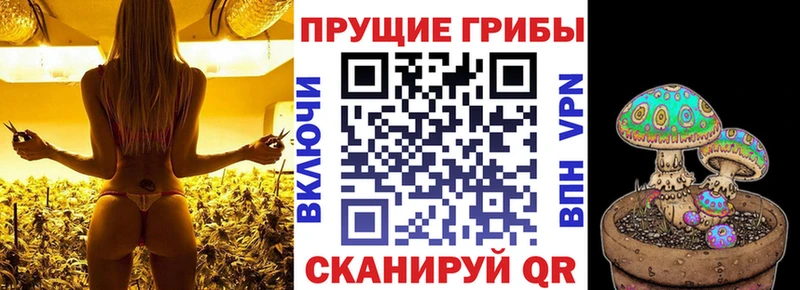 Псилоцибиновые грибы Psilocybine cubensis  маркетплейс Telegram  Красный Сулин 
